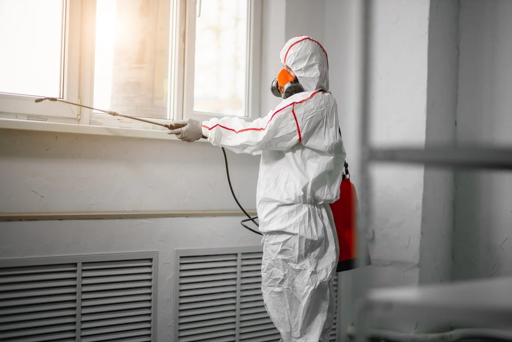 Professional mold remediation services in Camden, AR